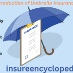 Umbrella Insurance - Extra Liability Protection