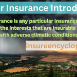 Weather Insurance - Essential Weather Protection