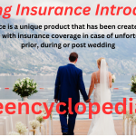 Wedding Insurance - Safeguard Your Big Day