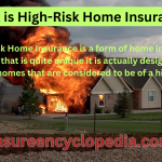 High-Risk Home Insurance - Critical High-Risk Home Insurance