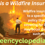 Wildfire Insurance - Comprehensive Wildfire Coverage