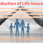 Life Insurance - Essential Life Insurance for Financial Protection